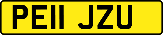 PE11JZU