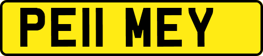 PE11MEY