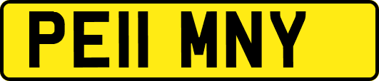 PE11MNY