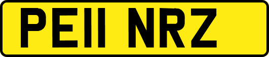 PE11NRZ