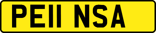 PE11NSA