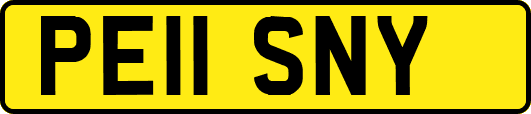 PE11SNY