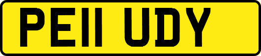 PE11UDY