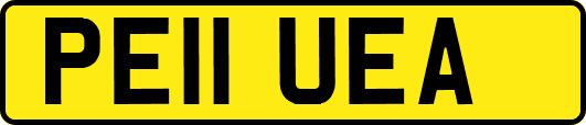 PE11UEA