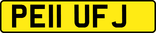 PE11UFJ