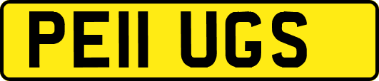 PE11UGS