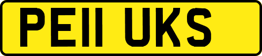 PE11UKS