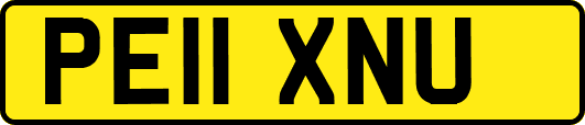 PE11XNU