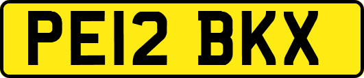 PE12BKX