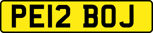 PE12BOJ