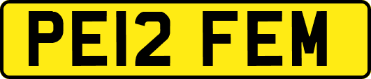 PE12FEM