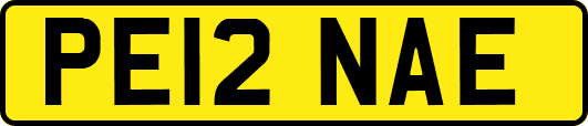 PE12NAE