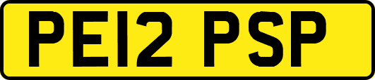 PE12PSP