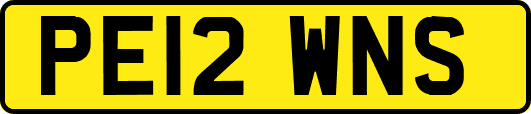 PE12WNS