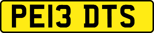 PE13DTS