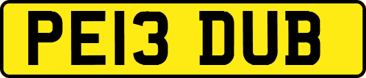 PE13DUB
