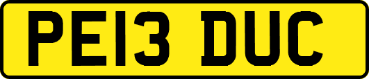 PE13DUC