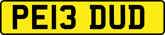 PE13DUD