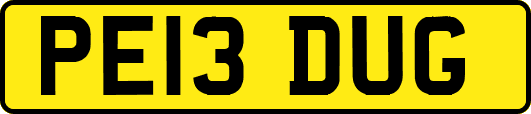 PE13DUG