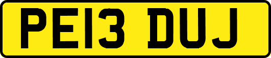 PE13DUJ