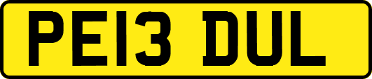 PE13DUL