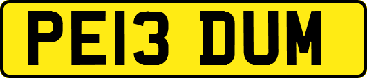 PE13DUM