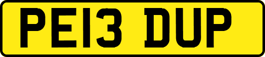 PE13DUP