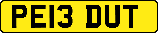 PE13DUT