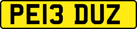 PE13DUZ
