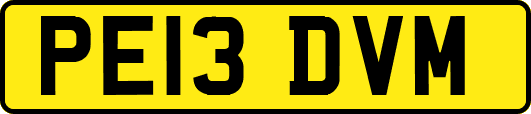 PE13DVM