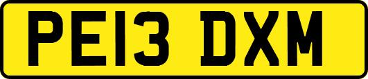 PE13DXM