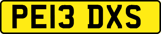 PE13DXS