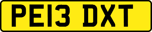 PE13DXT