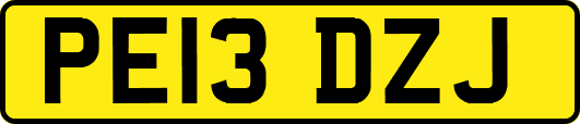 PE13DZJ