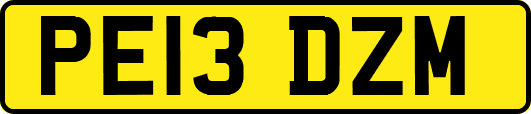 PE13DZM