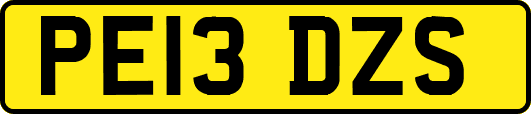 PE13DZS