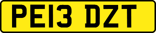 PE13DZT