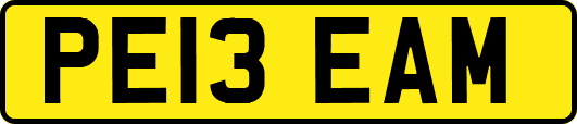 PE13EAM