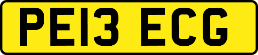 PE13ECG