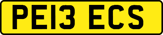 PE13ECS