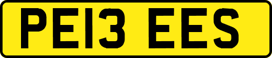 PE13EES