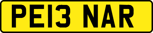PE13NAR