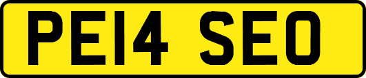 PE14SEO