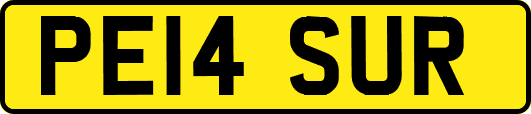 PE14SUR