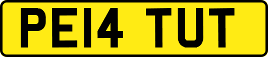 PE14TUT