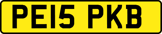 PE15PKB