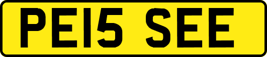 PE15SEE