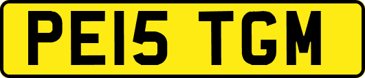 PE15TGM