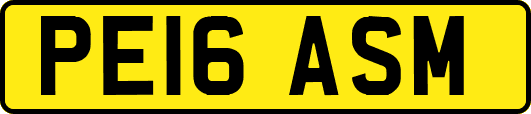PE16ASM