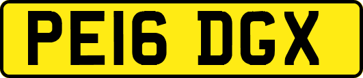 PE16DGX